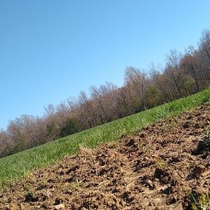 Meet your Posher, Aaron